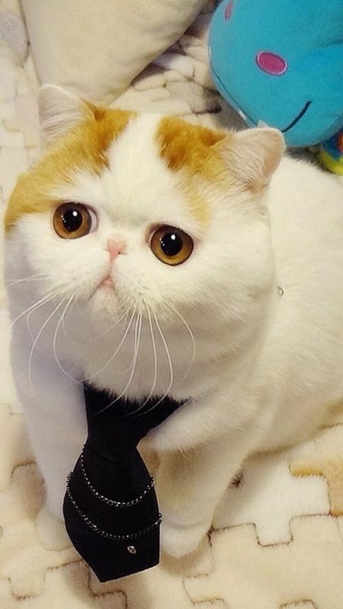 㽭:ɧŵ绰ռ 110ܽӾĳΪЧ